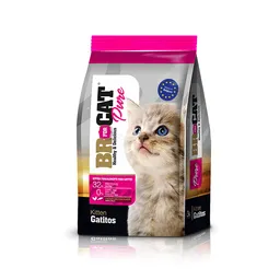 Br Gatitos 1kg