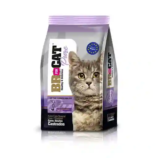 Br Gato Castrado 10kg