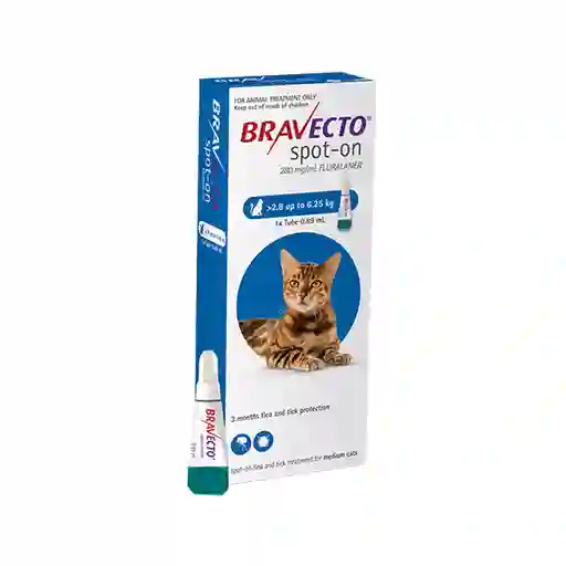 Bravecto Spot On Cat 2.8 A 6.2kg