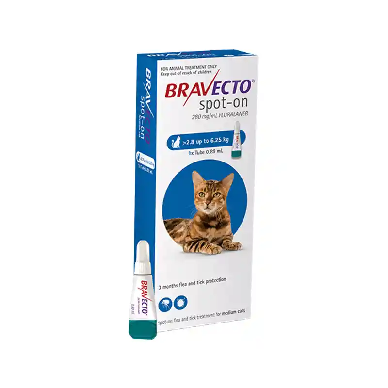 Bravecto Spot On Cat 2.8 A 6.2kg