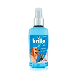 Brillo Ellos 120ml