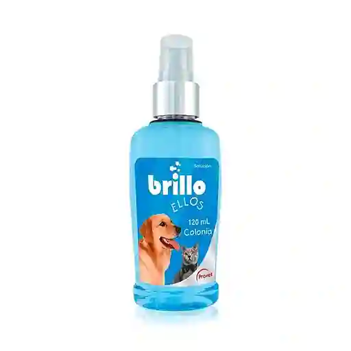 Brillo Ellos 120ml