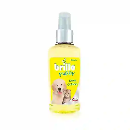 Brillo Puppy 120ml