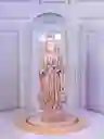 Vírgenes En Cupulas