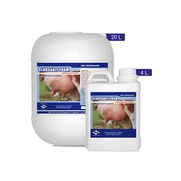 Clorsanit Foam Garrafa 20lts