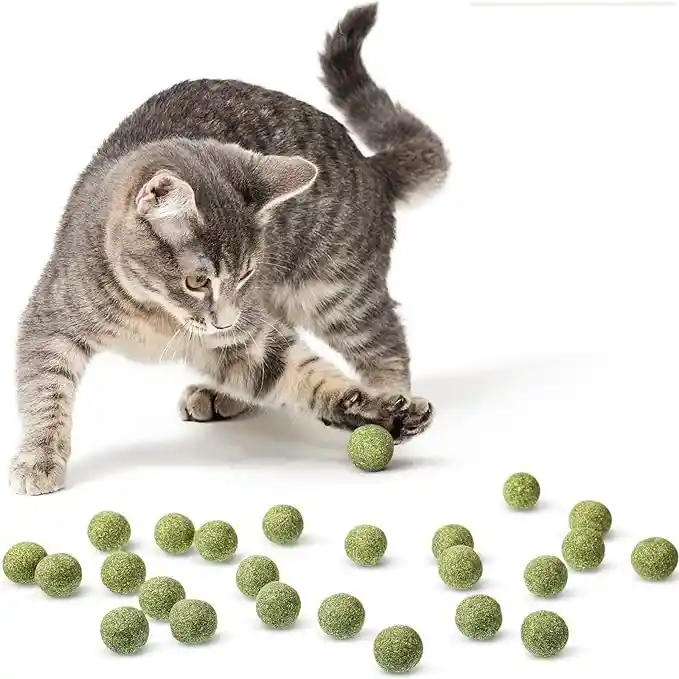 Cat Nip Para Gatos Bola X Unidad Catnip Para Gatos Catnip Cat