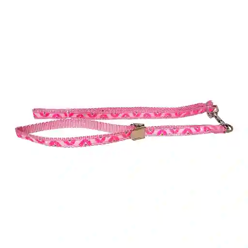 Correa Y Collar Ajustable