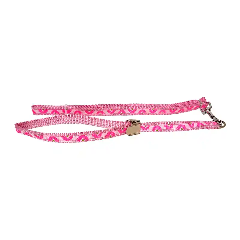 Correa Y Collar Ajustable