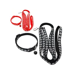 Correa Y Collar Huellas Talla M