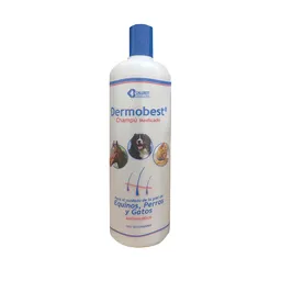 Dermobest Shampoo Medicado 120ml