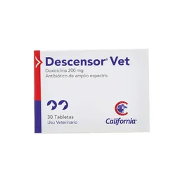 Descensor 200gr X30 Tab