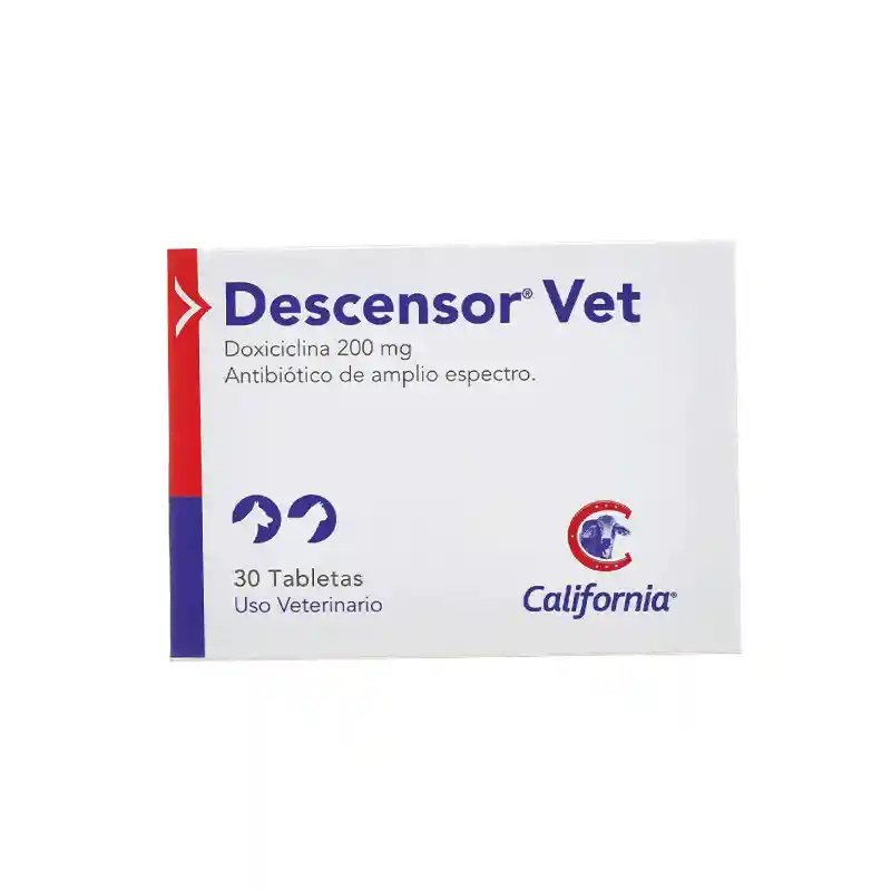 Descensor 200gr X30 Tab