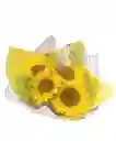 Bouquets De Flores