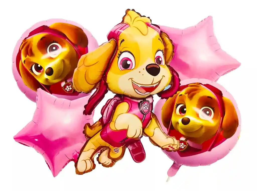 Bouquet Globos Kit Perrita Skye Rosado Mascota Perro