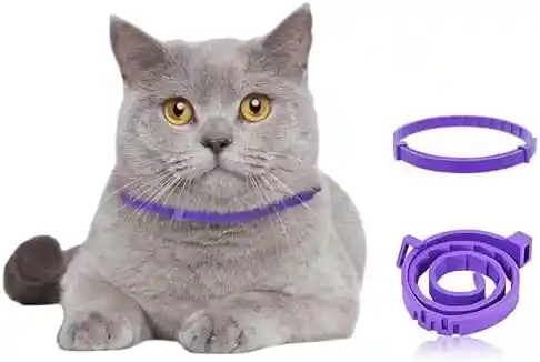 2 Collares Calmante Relajante Gatos Ansiedad Viajes Ajustables