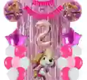 Kit Globos Bouquet Numero Skye Paw Patrol Cortina Feston #2