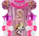 Kit Globos Bouquet Numero Skye Paw Patrol Cortina Feston #8