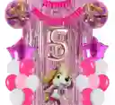 Kit Globos Bouquet Numero Skye Paw Patrol Cortina Feston #5