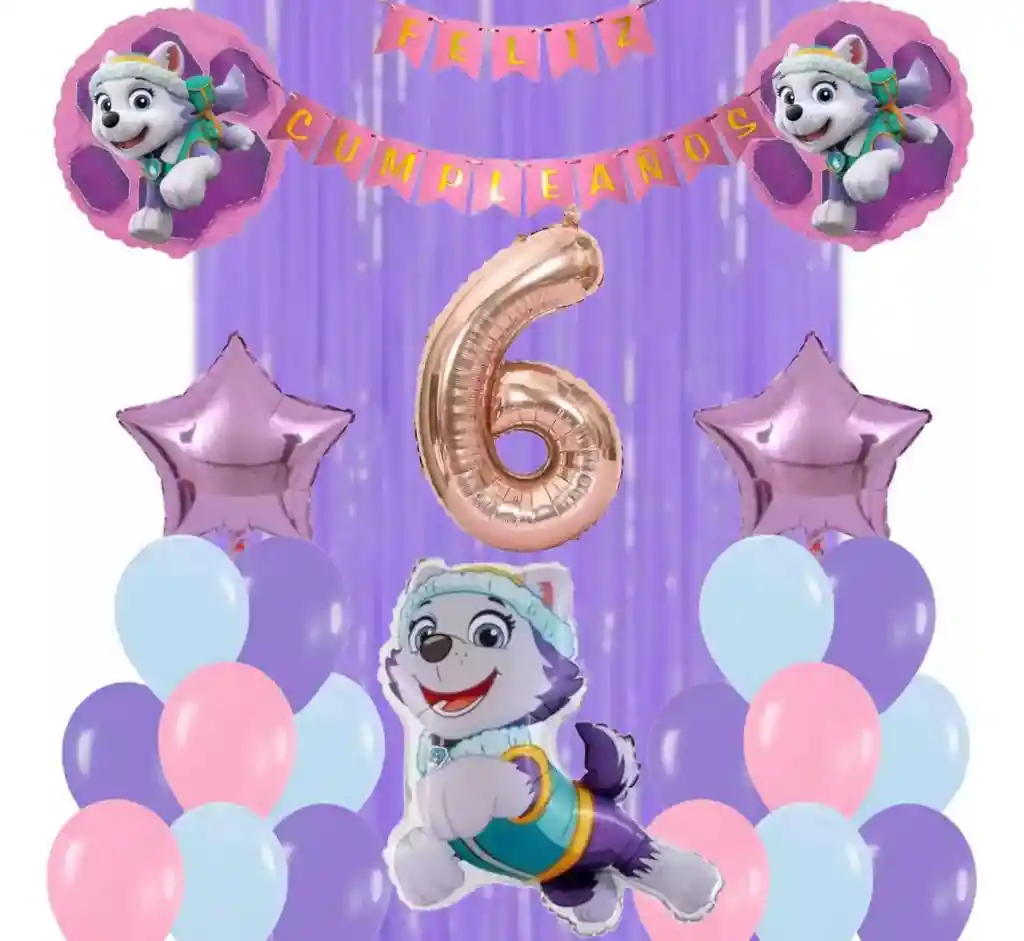 Kit Globos Bouquet Numero Perro Everest Paw Patrol Patrulla #6