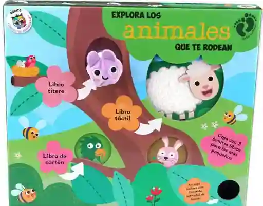 Explora Los Animales Que Te Rodean