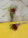 Promo Solitario De Rosa Natural