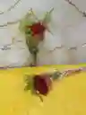 Promo Solitario De Rosa Natural