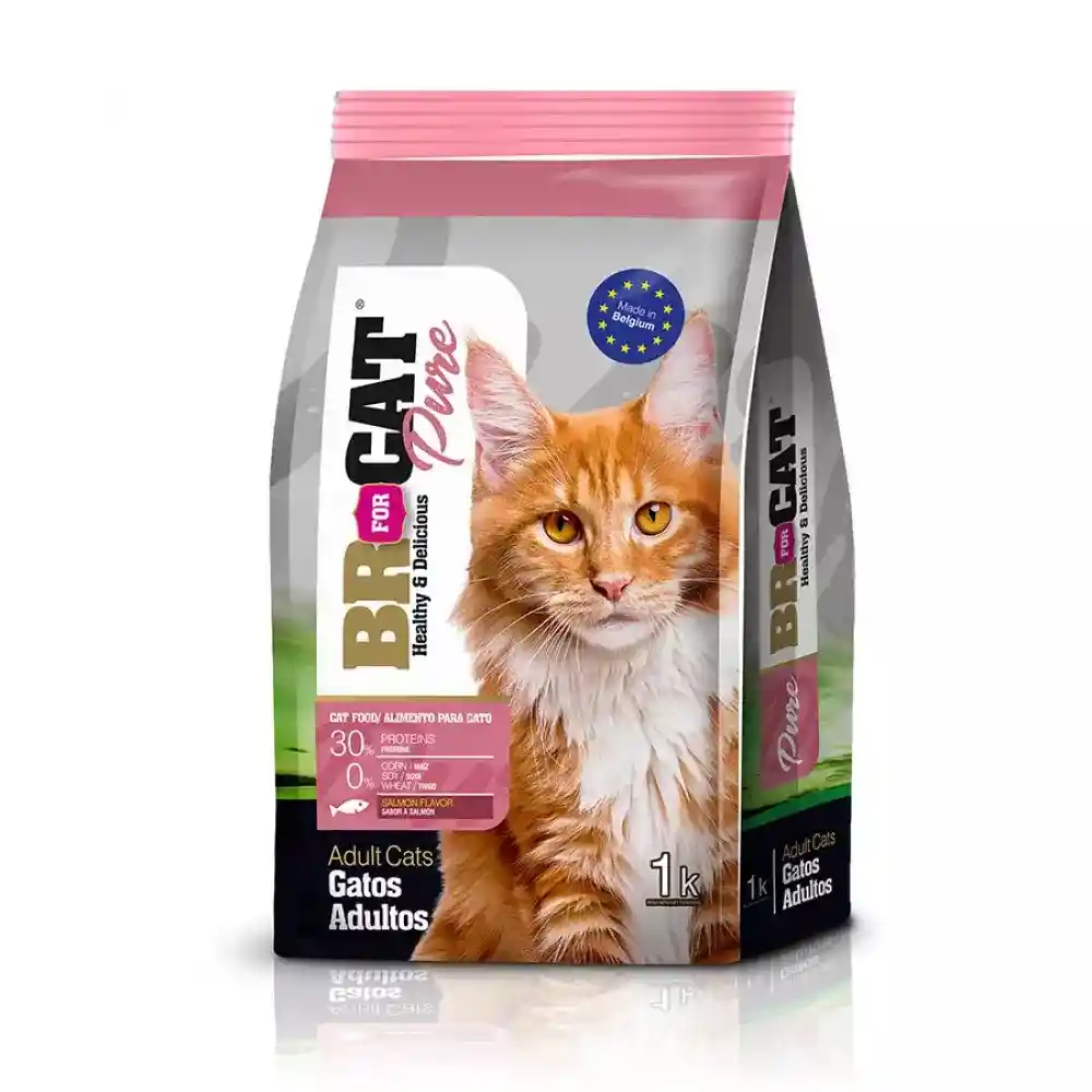 Br For Cat Gato Adulto Salmon 3kg