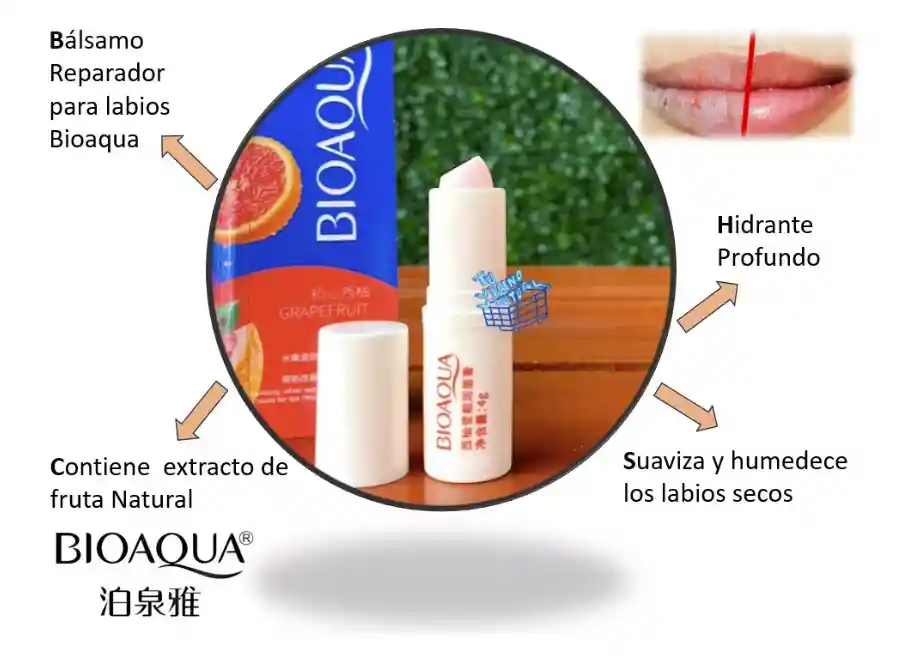 Balsamo Para Labios Naranja Bioaqua