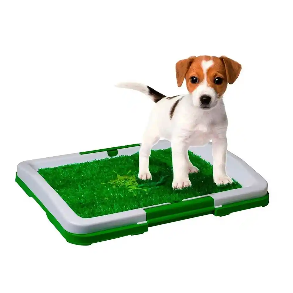 Tapete Entrenador Perros Lavable Baño Caninos Potty Pad Entrenamiento