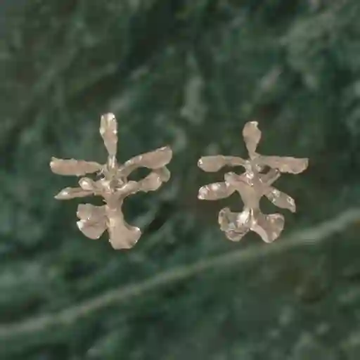 Aretes Topo Orquidea Oncidium Plata Ecológica