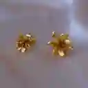 Aretes Topo Flor Suculenta Jade