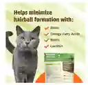 Suplemento Para Gatos Pet Naturals Hairball