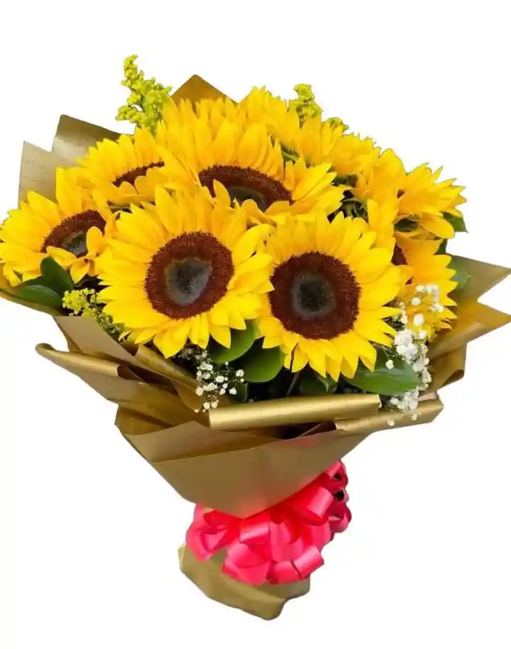 Girasoles Luxury