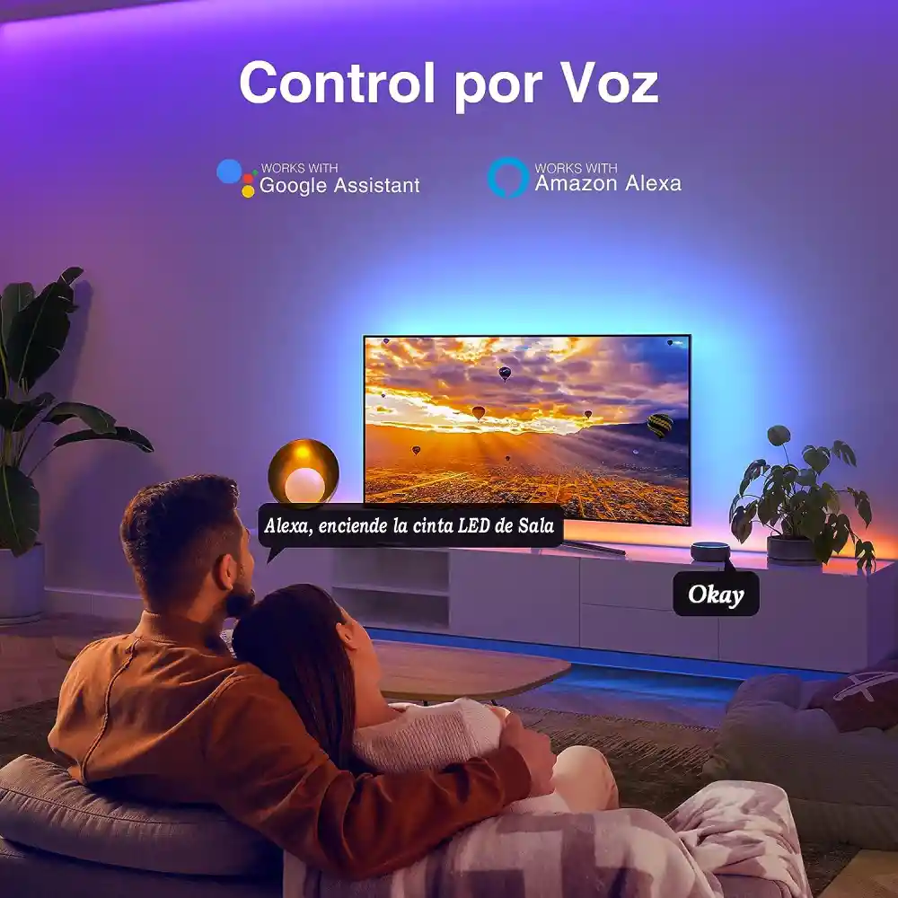 Cinta Led Rgb 10m Wifi Control Por Voz App Tuya Alexa/google