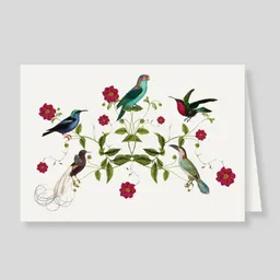 Caja Para Regalo De 8 Tarjetas Dobles Aviario Con Sobre I Www.escribana.co