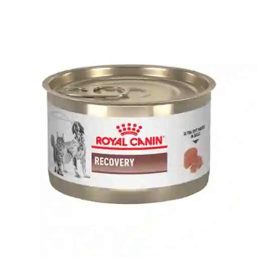 Royal Canin Lata Canine Y Feline Recovery X 145 Gr