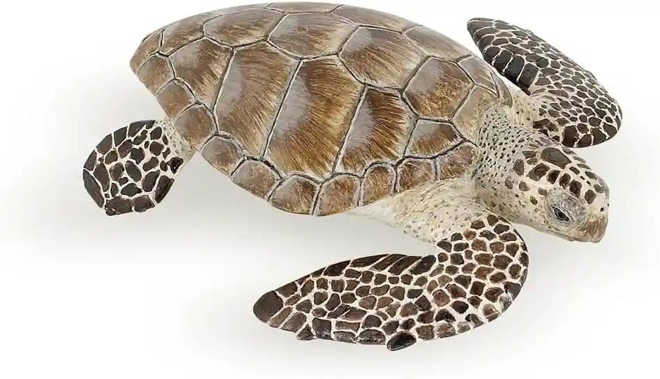 Figura Tortuga De Mar Pintada A Mano Para Niños Adultos