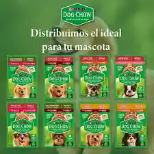 Dog Chow Alimento Húmedo Para Perro Surtidos