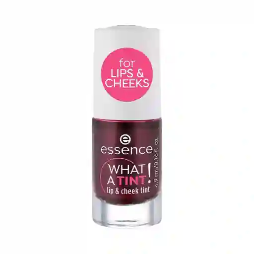 Tinta Labios Y Mejillas What A Tint T106 4ml