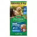 Dog Chow Cachorro Gran Comienzo Pg19.7kg Ll22.7 Kg