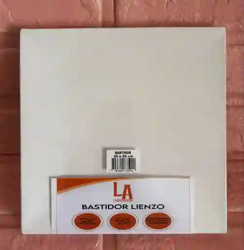 Lienzo O Bastidor 20*20