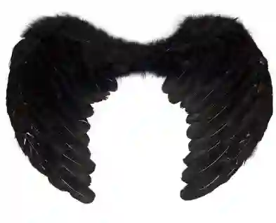 Alas De Angel Color Negro Medianas 55 X 37 Cm, Ligeras, Alas De Plumas Artificiales, Alas De Ángel Para Fiestas Disfraz Halloween