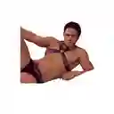 Arnés De Pecho Apolo Slut