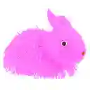 Peludito Conejo Apretable Antiestrés Juguete Luz Sensorial