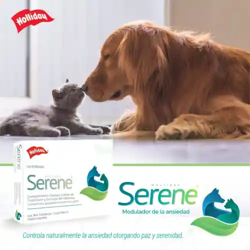 Serene Modulador De La Ansiedad Perros Y Gatos