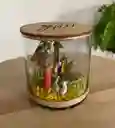 Pesebre Navidad Nacimiento Tipo Terrario