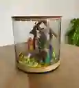 Pesebre Navidad Nacimiento Tipo Terrario