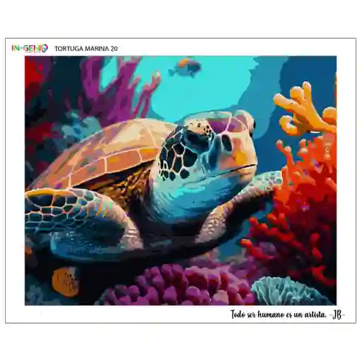 Pintura Por Números Tortuga Marina Tm Pbn Tortuga (lienzo + Bastidor)