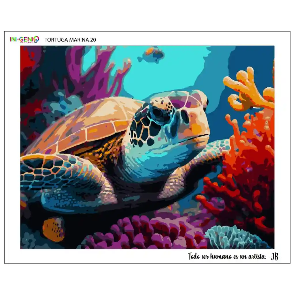 Pintura Por Números Tortuga Marina Tm Pbn Tortuga (lienzo + Bastidor)