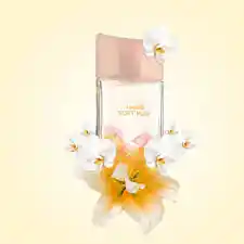 Soft Musk Vanilla, Fragancia Para Mujer